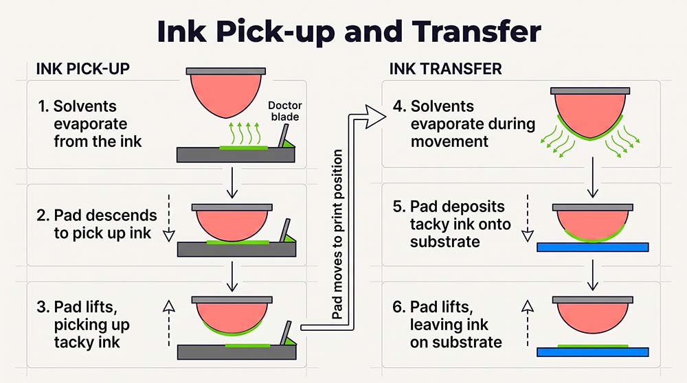 Process of Pad Printing on Stainless Steel Cutlery A diagram showing the steps of the pad printing process: etched plate, ink, silicone pad, and transfer to cutlery.